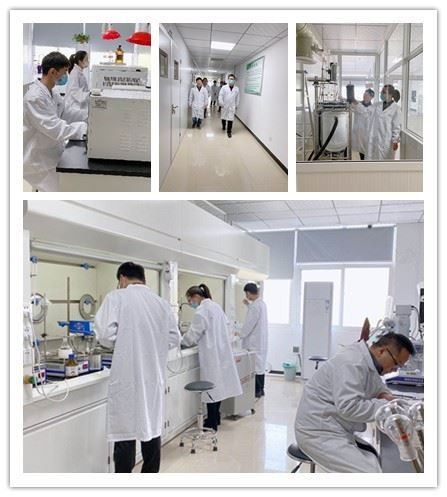 CAS:35212-99-8 | Methyl 5,6-dimethoxy-1-benzothiophene-2-carboxylate