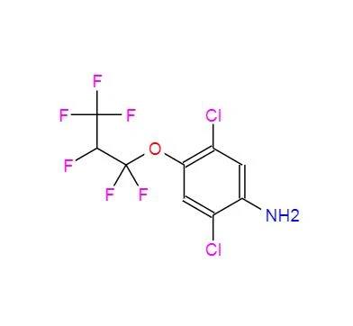 CAS:103015-84-5丨2,5-डाइक्लोरो-4-(1,1,2,3,3,3-हेक्साफ्लोरोप्रोपॉक्सी)बेंजेनामाइन